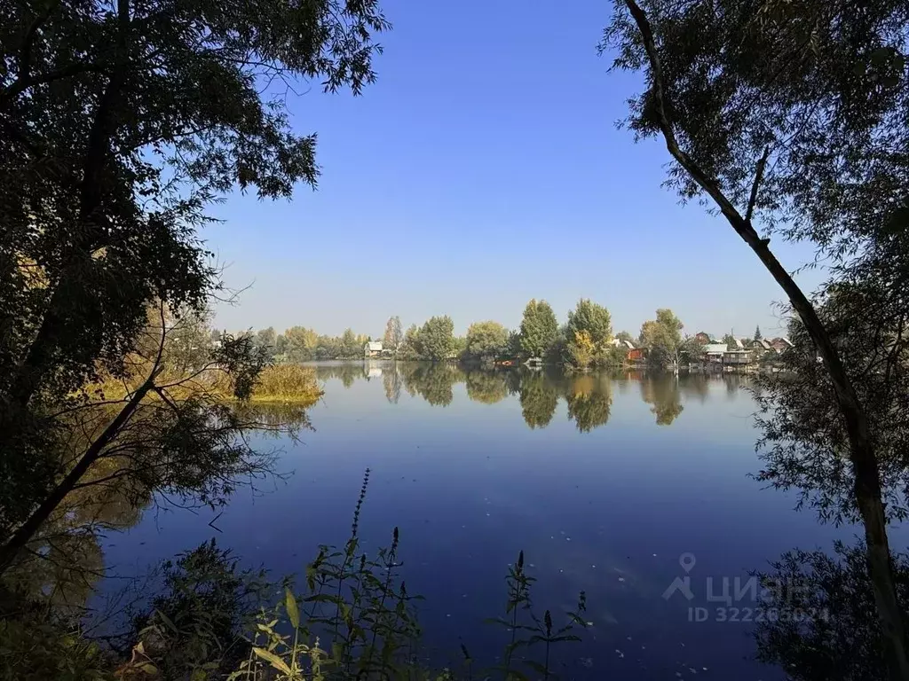 Участок в Кемеровская область, Новокузнецк Робинзон СНТ,  (20.0 сот.) - Фото 1