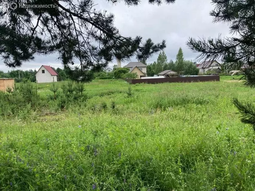 Участок в Волосовский район, Сабское сельское поселение, деревня ... - Фото 1