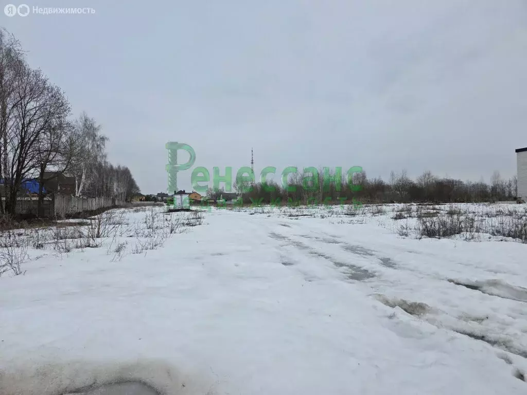 Участок в Брянский район, Супоневское сельское поселение, село ... - Фото 2