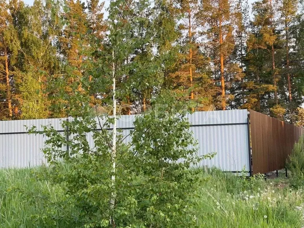 Участок в Тюменская область, Тюменский муниципальный округ, с. Успенка ... - Фото 1