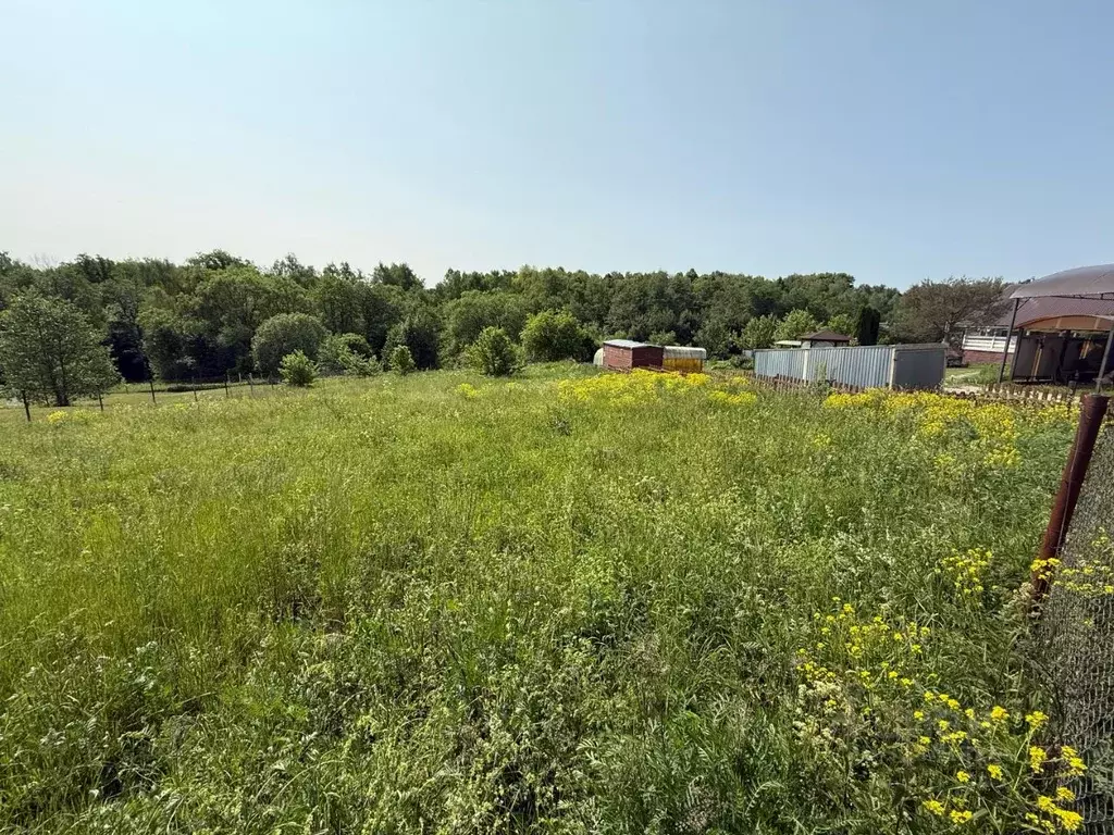 Участок в Тульская область, Заокский район, Малаховское с/пос, д. ... - Фото 2