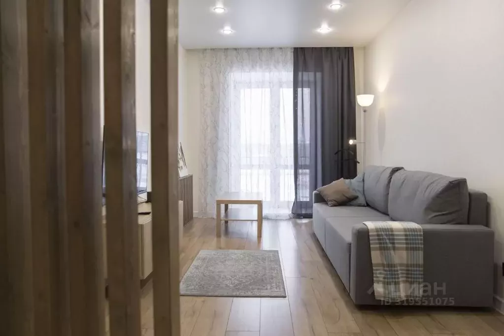 1-к кв. Псковская область, Псков Ольгинская наб., 5А (40.0 м) - Фото 2