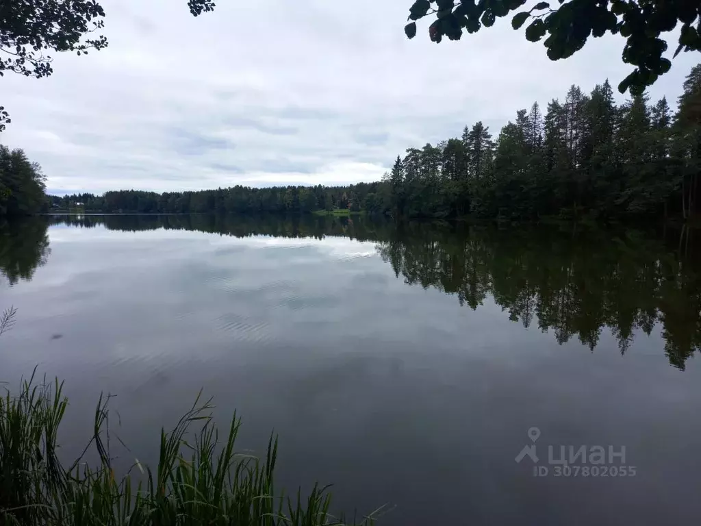 Дом в Ленинградская область, Выборгский район, Рощинское городское ... - Фото 1