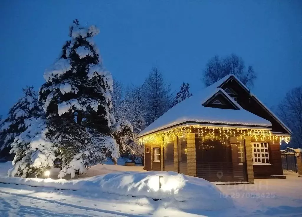 Дом в Ленинградская область, Приозерский район, Ларионовское с/пос, ... - Фото 1