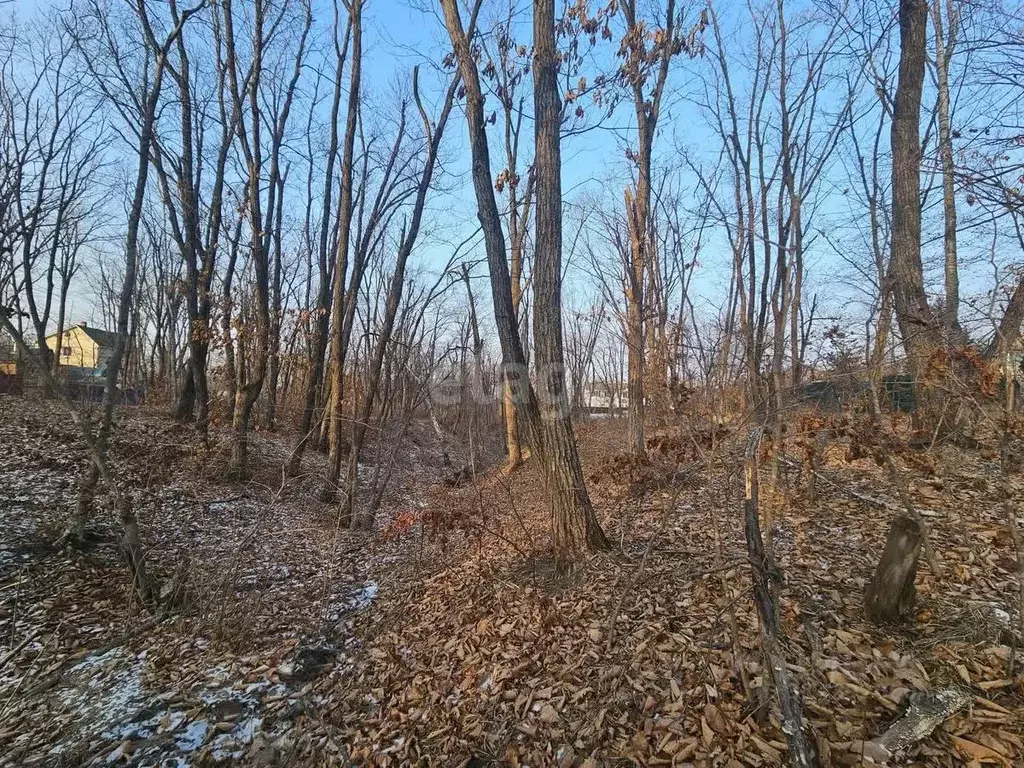 Участок в Приморский край, Владивостокский городской округ, пос. ... - Фото 0