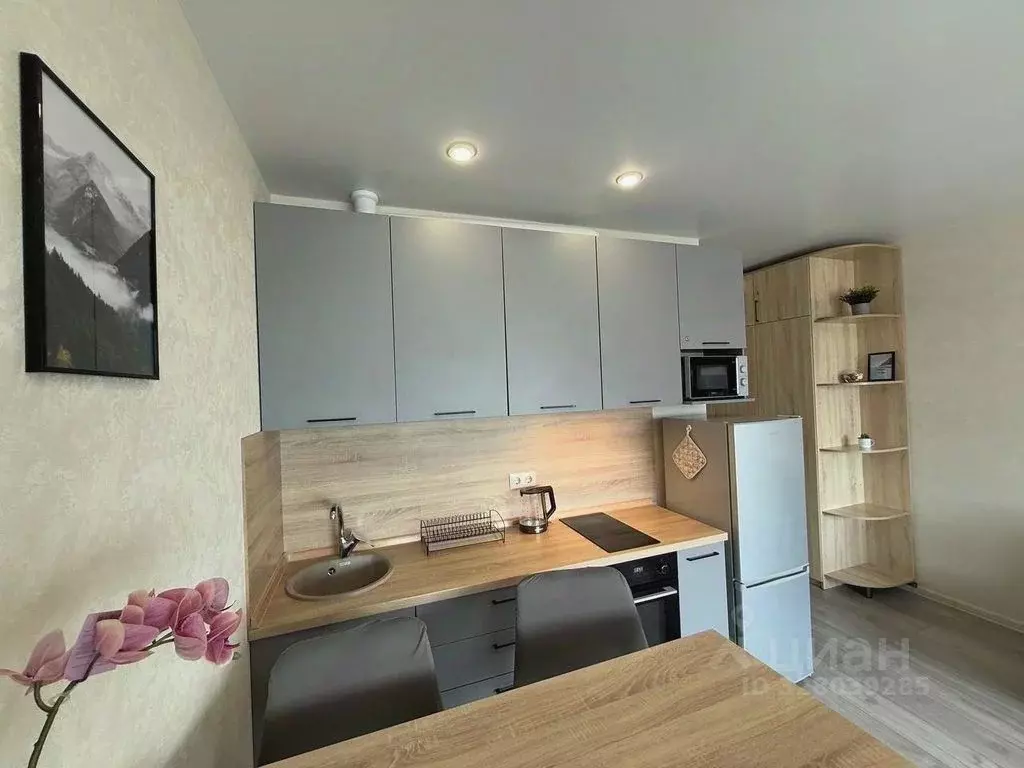 1-к кв. Краснодарский край, Сочи городской округ, Дагомыс пгт ул. ... - Фото 2