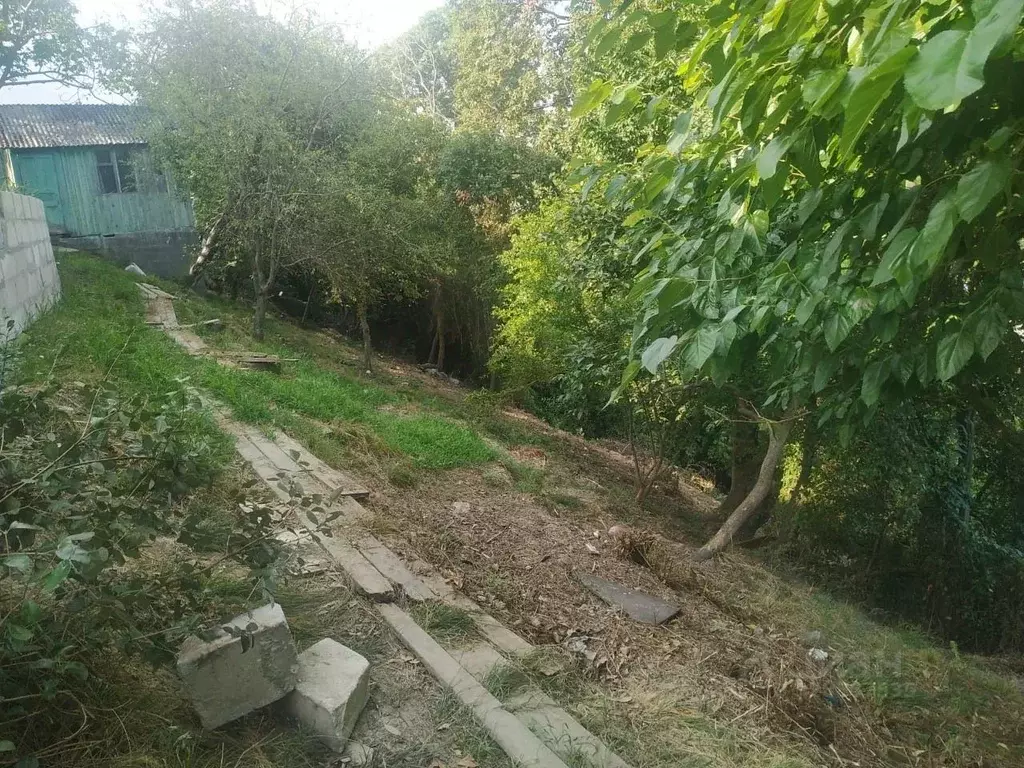 Участок в Краснодарский край, Сочи Светлана мкр, ул. Дмитриевой (9.4 ... - Фото 2