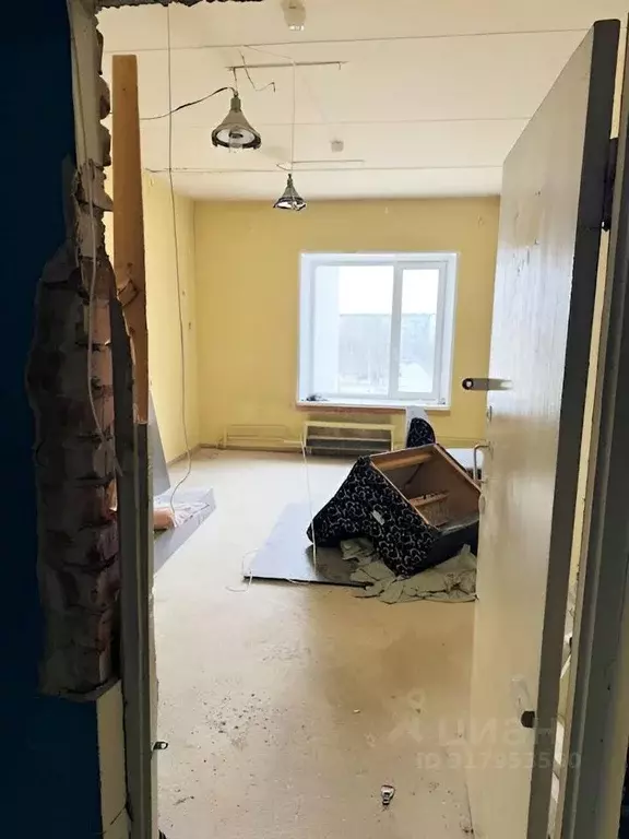 Помещение свободного назначения в Мурманская область, Апатиты ул. ... - Фото 1