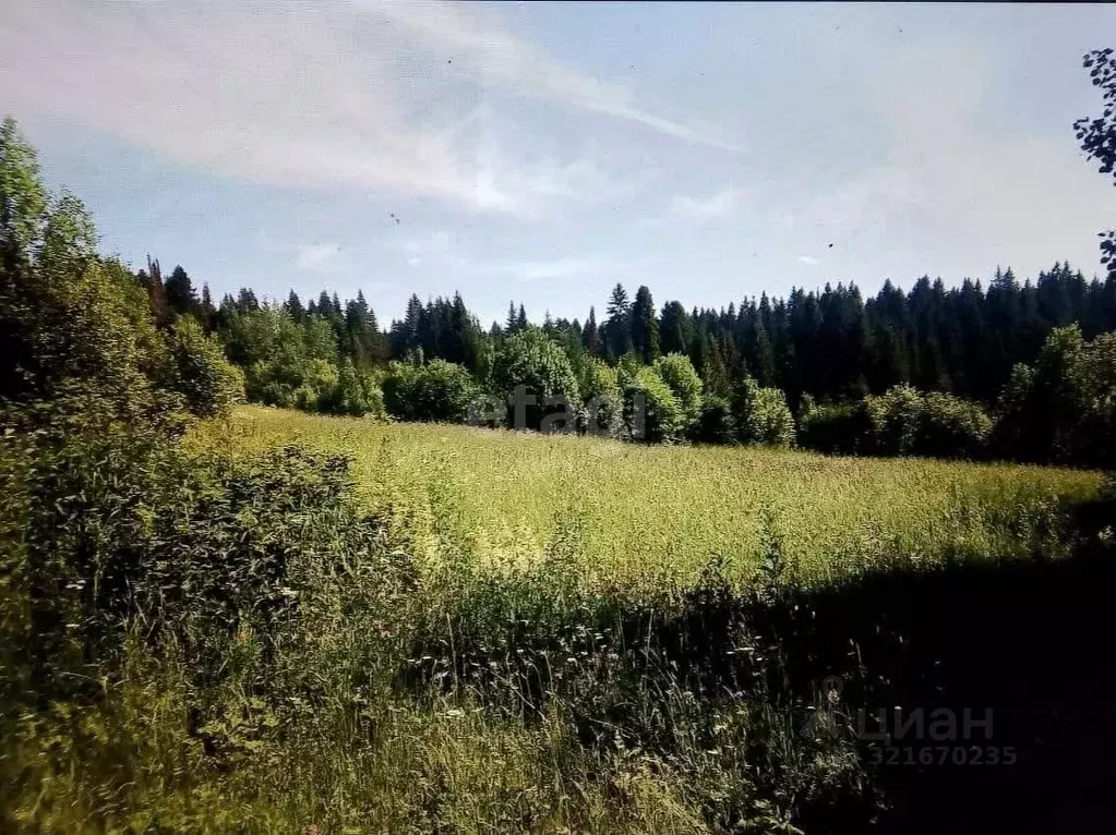 Участок в Пермский край, Добрянка пос. Лесников,  (12.0 сот.) - Фото 1