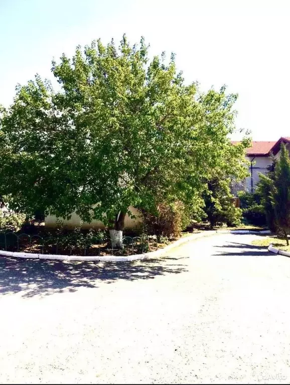 1-к кв. Севастополь с. Орловка, ш. Качинское, 33-Б (20.0 м) - Фото 2