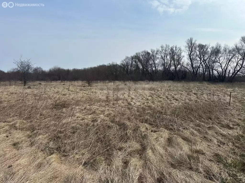 Участок в Калининградская область, Зеленоградский муниципальный округ, ... - Фото 1