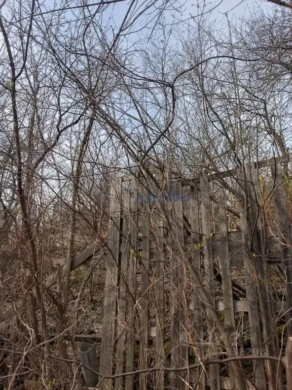 Участок в Нижегородская область, Нижний Новгород Родник садоводческое ... - Фото 1