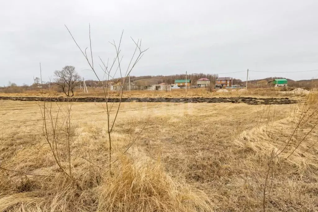 Участок в Амурская область, Благовещенск городской округ, с. Садовое  ... - Фото 0