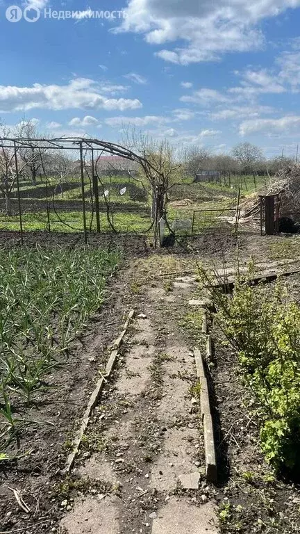 Дом в село Ольгинское, Пролетарская улица, 65 (60 м) - Фото 2