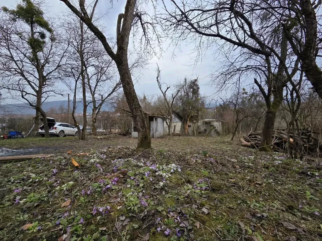 Участок в Кабардино-Балкария, Нальчик Восток СТ, 215 (6.0 сот.) - Фото 1