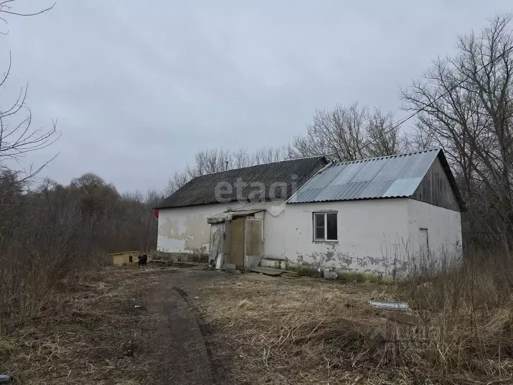 Дом в Липецкая область, Грязинский район, Сошкинский сельсовет, с. ... - Фото 1