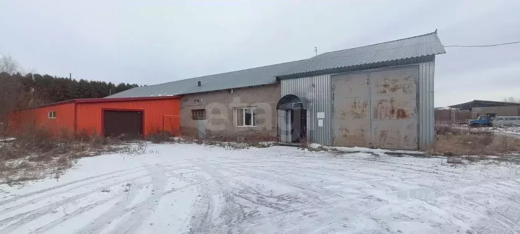 Помещение свободного назначения в Алтайский край, Красногорский район, ... - Фото 1