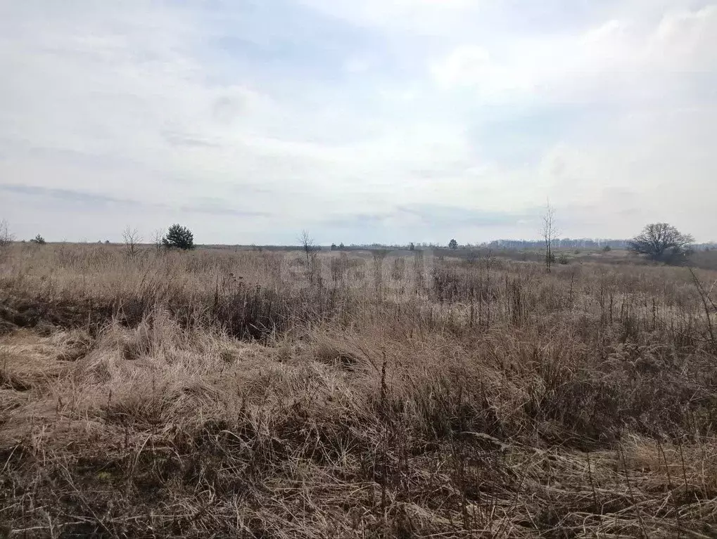 Участок в Курская область, Курский район, Моковский сельсовет, д. ... - Фото 2