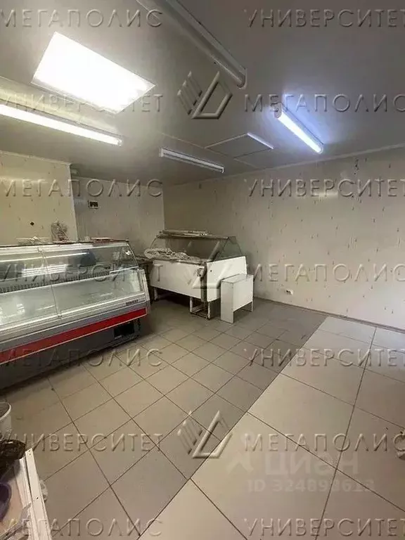 Склад в Московская область, Серпухов Российская ул., 40а (25 м) - Фото 2