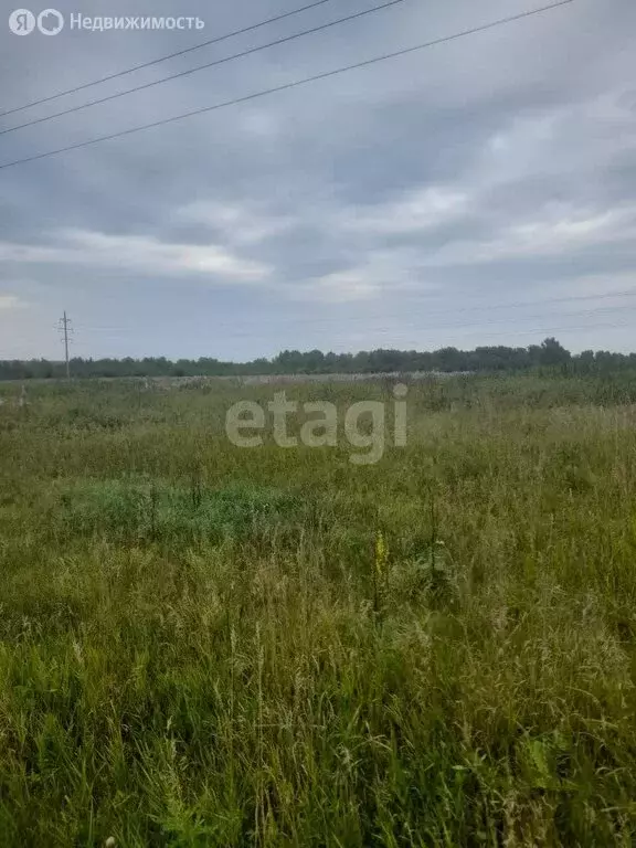 Участок в Томский район, Зоркальцевское сельское поселение, село ... - Фото 1