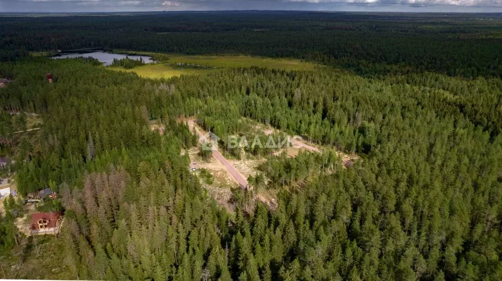 Участок в Ленинградская область, Выборгский район, Рощино пгт проезд ... - Фото 1