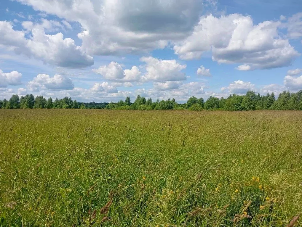Участок в Московская область, Талдомский городской округ, д. Костино  ... - Фото 1