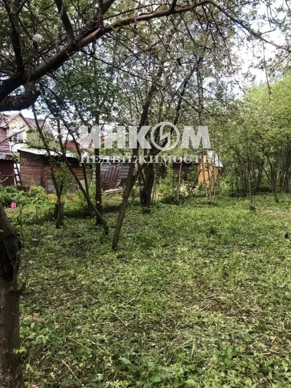 Участок в Московская область, Подольск Воговец СНТ, 3 (6.13 сот.) - Фото 2