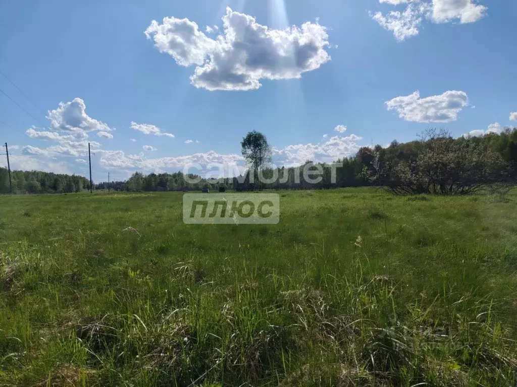 Участок в Московская область, Наро-Фоминский городской округ, д. ... - Фото 1