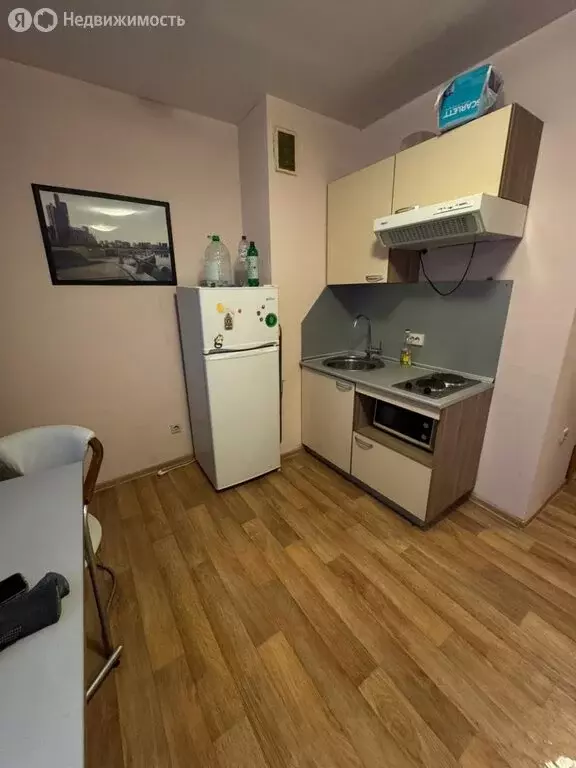 Квартира-студия: Казань, проспект Победы, 90 (28 м) - Фото 1