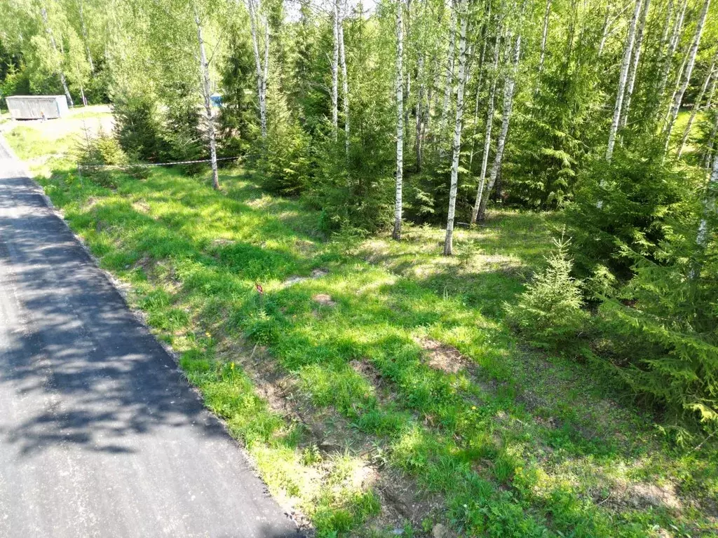 Участок в Московская область, Ступино городской округ, д. Гридюкино  ... - Фото 0