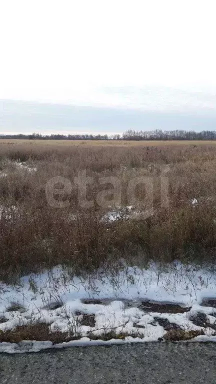 Участок в Курганская область, Курган Тополя мкр,  (1354.0 сот.) - Фото 1