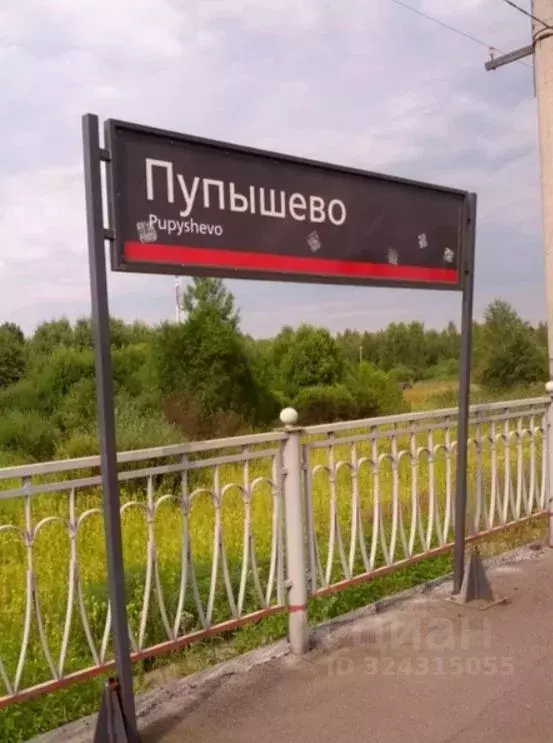 Участок в Ленинградская область, Волховский район, Кисельнинское ... - Фото 1