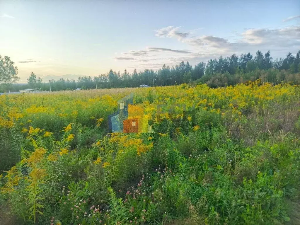 Участок в Тульская область, Тула Шатская ул. (8.6 сот.) - Фото 1