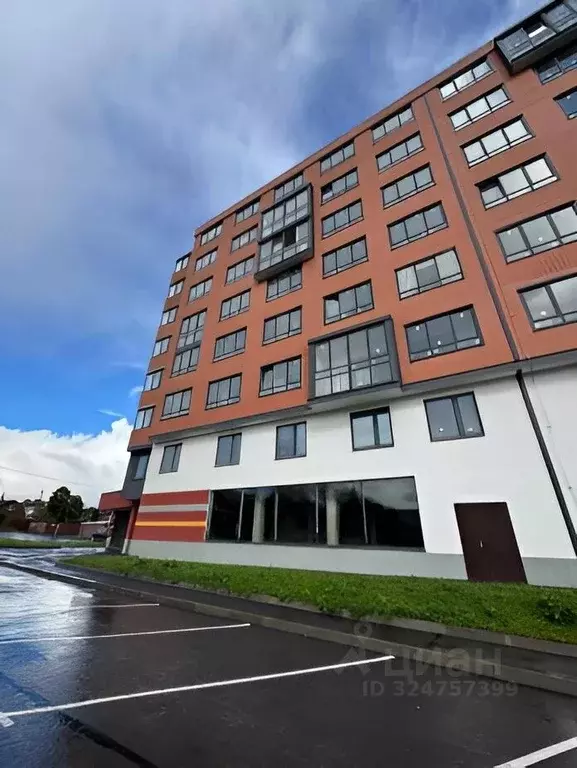 Студия Ленинградская область, Всеволожский район, Романовское с/пос, ... - Фото 2