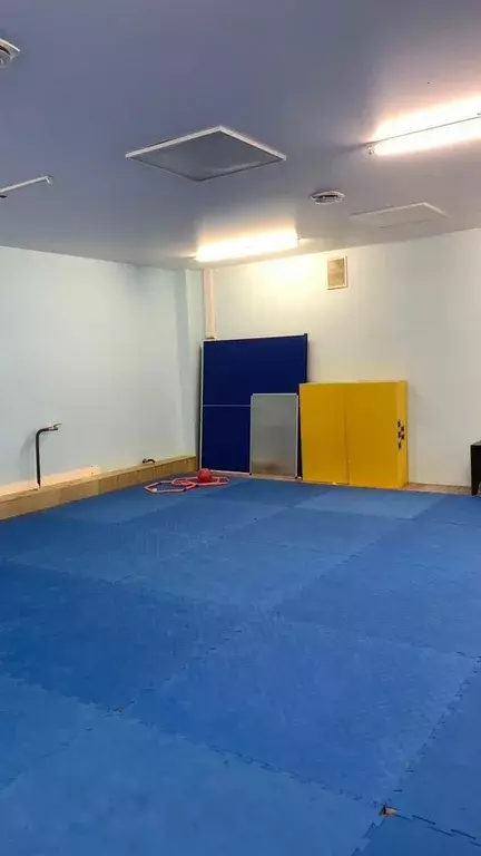 Помещение свободного назначения в Новосибирская область, Новосибирск ... - Фото 2