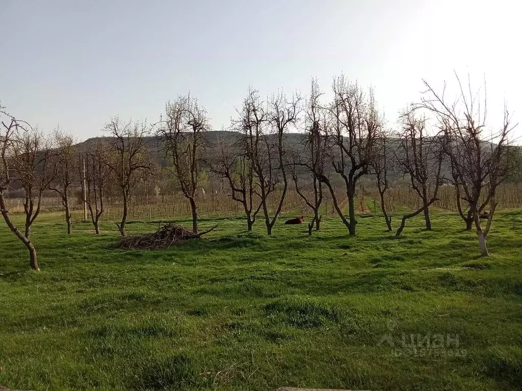 Участок в Крым, Бахчисарайский район, с. Долинное ул. Ленина, 46 (10.0 ... - Фото 1