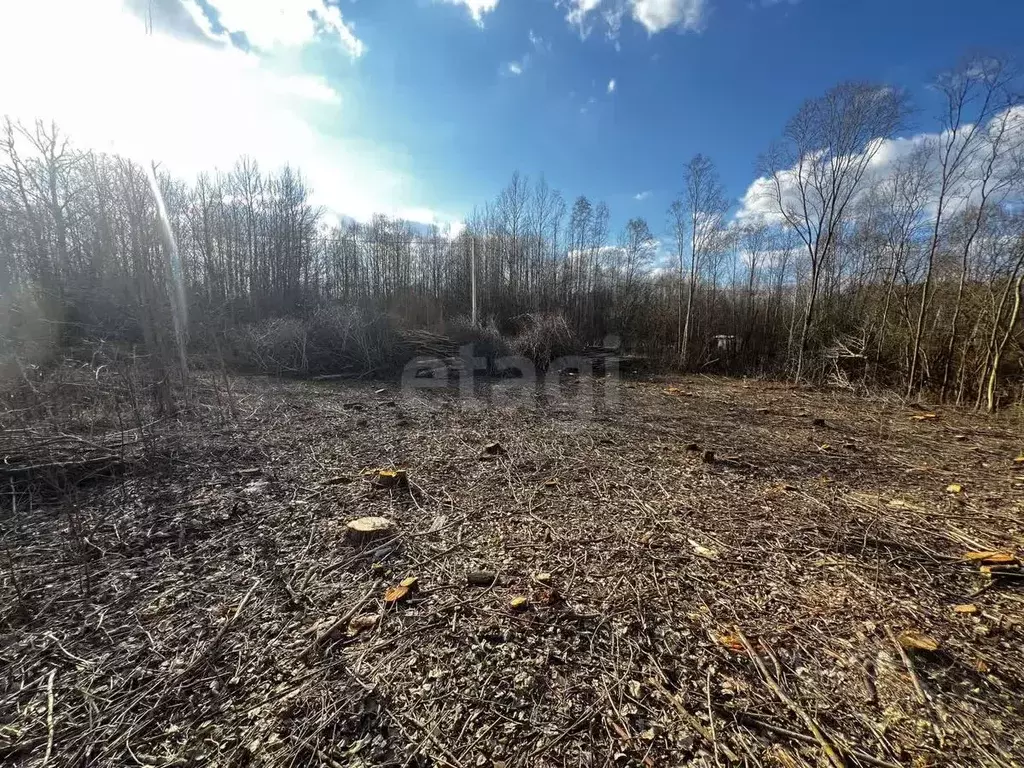 Участок в Вологодская область, Вологда Медик садоводческое ... - Фото 2