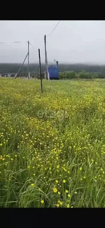 Участок в Сахалинская область, Южно-Сахалинск городской округ, с. ... - Фото 0