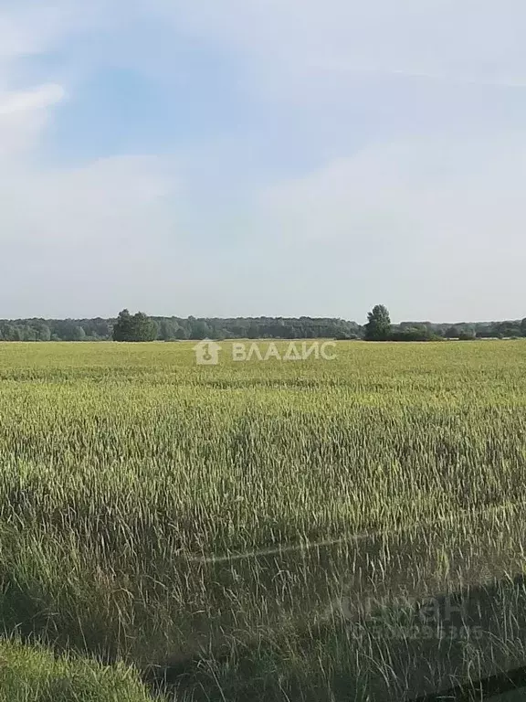 Участок в Калининградская область, Багратионовский муниципальный ... - Фото 1