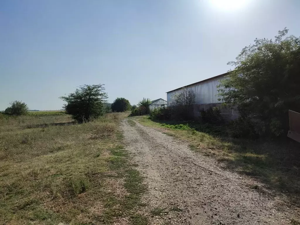 Производственное помещение в Адыгея, Красногвардейский район, ... - Фото 1