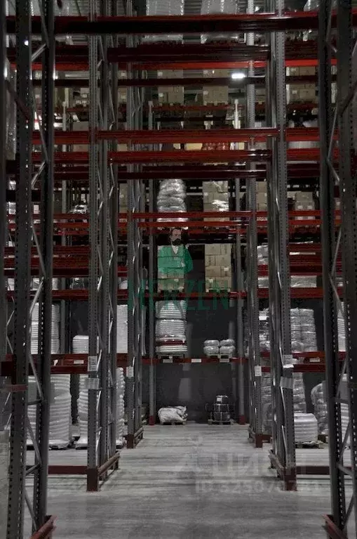 Склад в Московская область, Истра муниципальный округ, д. Лешково 241А ... - Фото 2