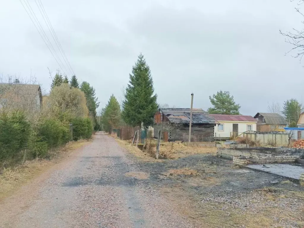 Участок в Ленинградская область, Выборгский район, Рощинское городское ... - Фото 0