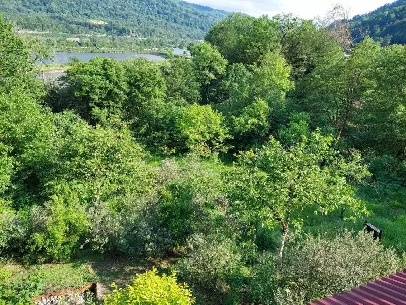 Участок в Краснодарский край, Сочи городской округ, с. Казачий Брод ... - Фото 1