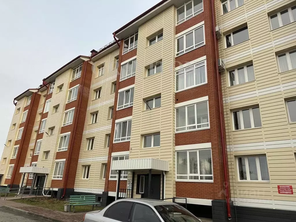 3-к кв. Алтай, Майминский район, с. Майма ул. Березовая роща, 9В (69.0 ... - Фото 2