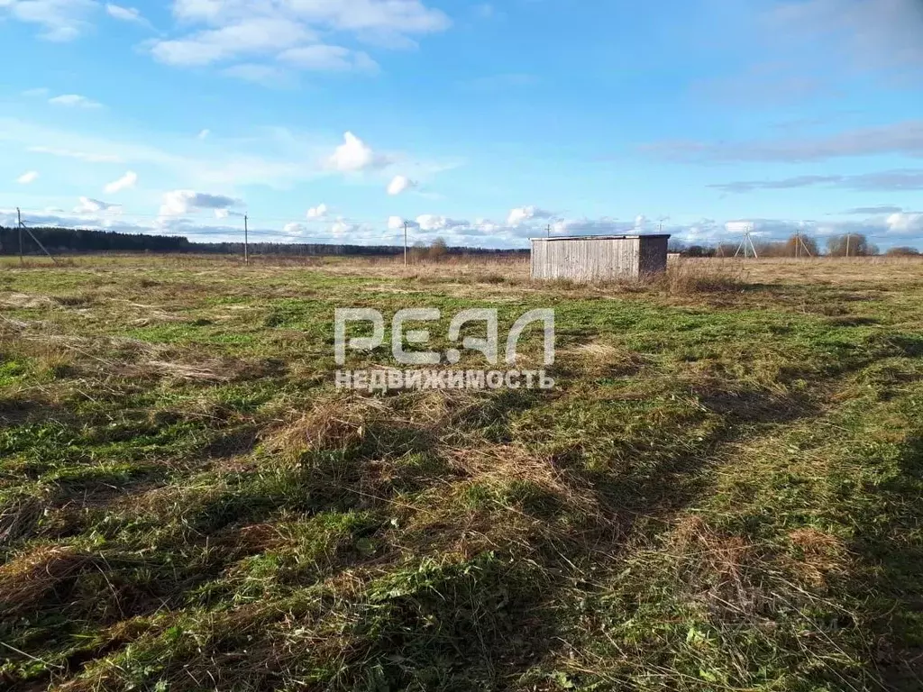 Участок в Ленинградская область, Гатчинский муниципальный округ, д. ... - Фото 2