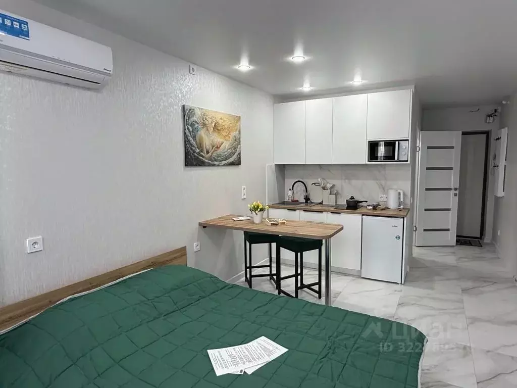 1-к кв. Крым, Сакский район, с. Фрунзе ул. Мира, 27А (22.0 м) - Фото 1