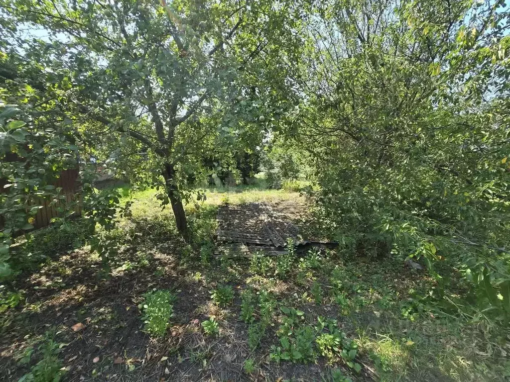 Дом в Белгородская область, Валуйский муниципальный округ, Уразово рп ... - Фото 2