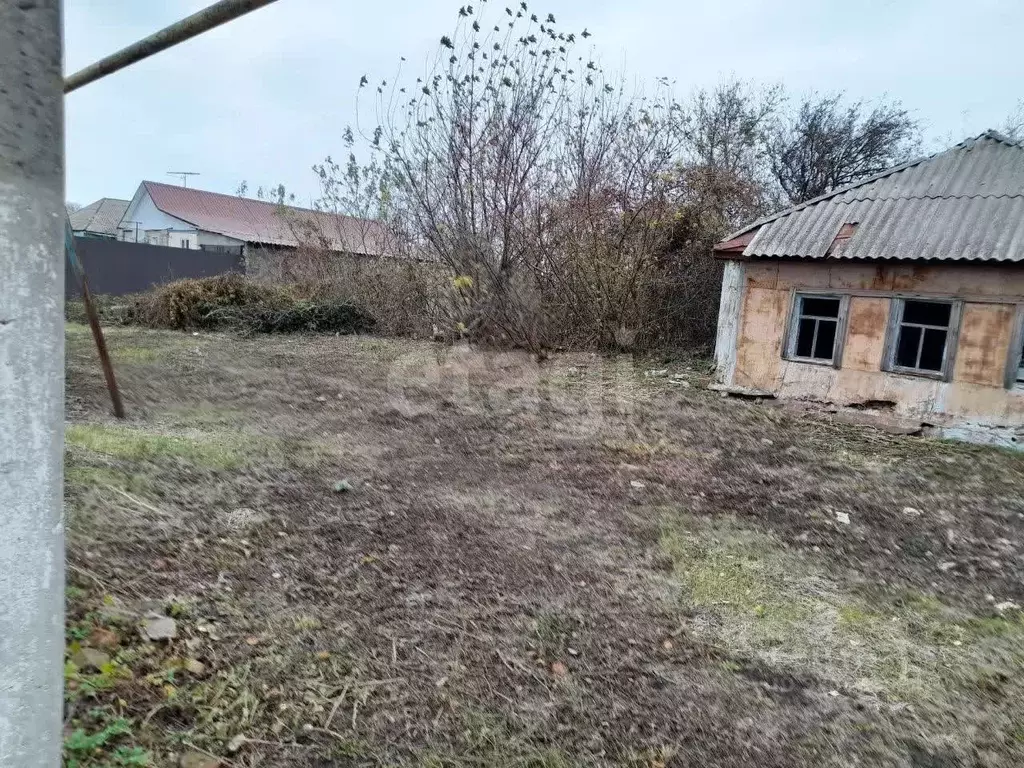 Участок в Белгородская область, Корочанский муниципальный округ, с. ... - Фото 1