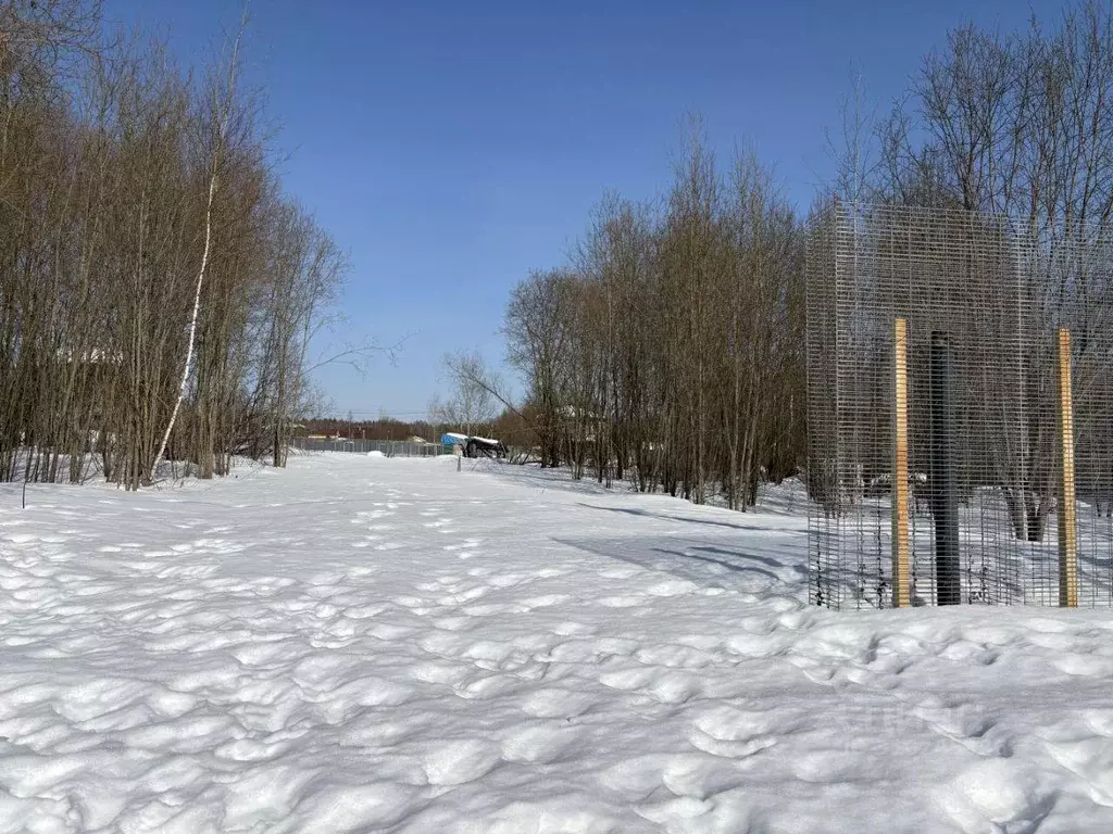 Участок, 6 сот., сельхоз (снт или днп) - Фото 0