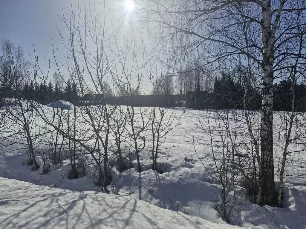 Участок в Московская область, Ступино городской округ, д. Сафроново  ... - Фото 1